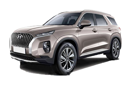 Hyundai Palisade o simile