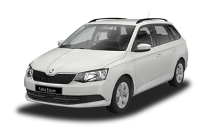 斯柯達 Fabia 或同等級車型